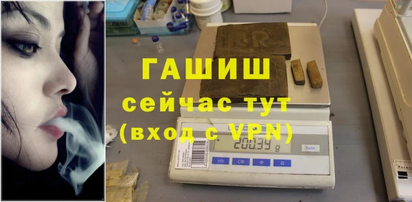 индика Галич