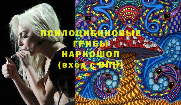 стафф Алексеевка