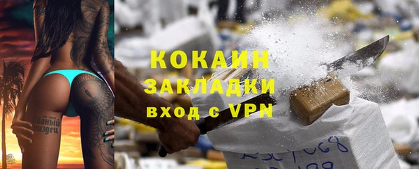 трава Гвардейск