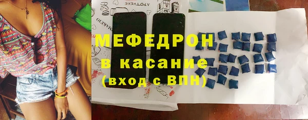 индика Галич