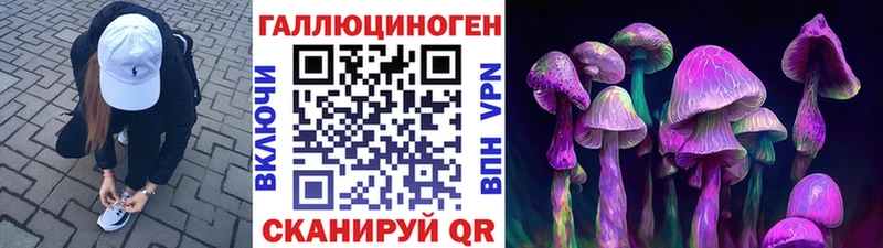 Псилоцибиновые грибы Psilocybine cubensis  Калтан 